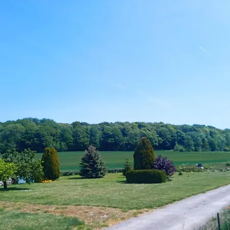 Du Bois De Nyaraló Drancourt
